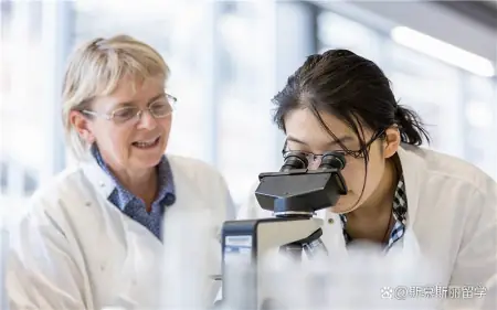 临床医学专业英国留学要满足哪些要求